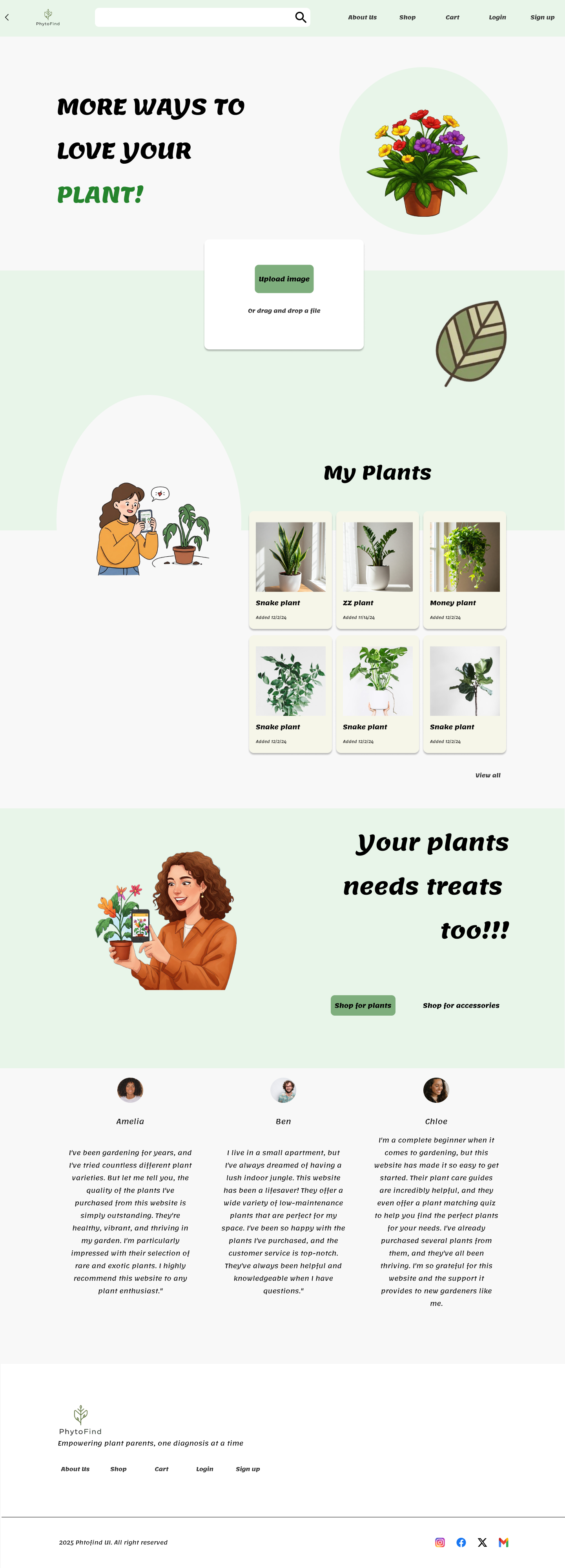 Plant in